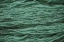 salty sea spray - hank.webp